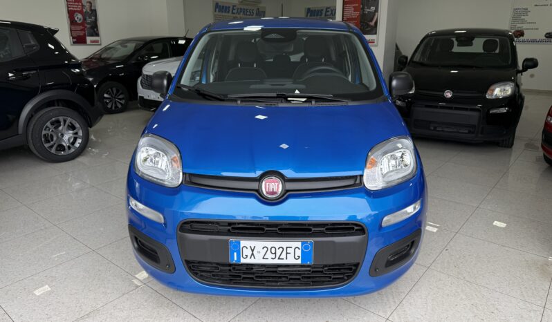 FIAT PANDA BENZINA/HYBRID ICON NUOVA pieno