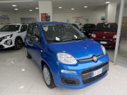 FIAT PANDA BENZINA/HYBRID ICON NUOVA pieno