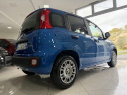 FIAT PANDA BENZINA/HYBRID ICON NUOVA pieno