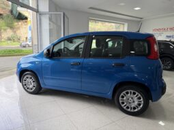 FIAT PANDINA BENZINA/HYBRID ICON NUOVA