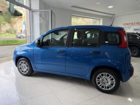 FIAT PANDINA BENZINA/HYBRID ICON NUOVA