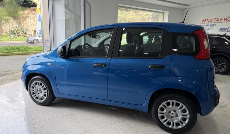 FIAT PANDA BENZINA/HYBRID ICON NUOVA pieno