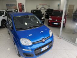 FIAT PANDA BENZINA/HYBRID ICON NUOVA pieno