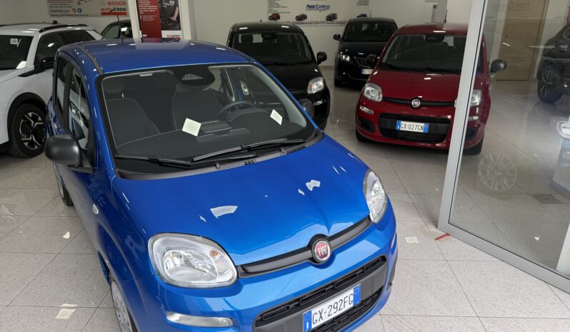 FIAT PANDA BENZINA/HYBRID ICON NUOVA pieno