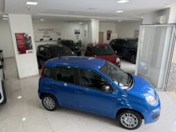 FIAT PANDA BENZINA/HYBRID ICON NUOVA pieno