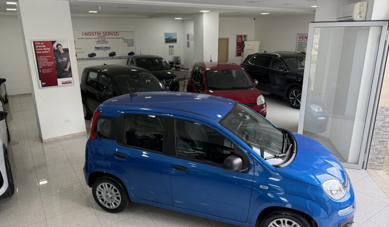 FIAT PANDA BENZINA/HYBRID ICON NUOVA pieno