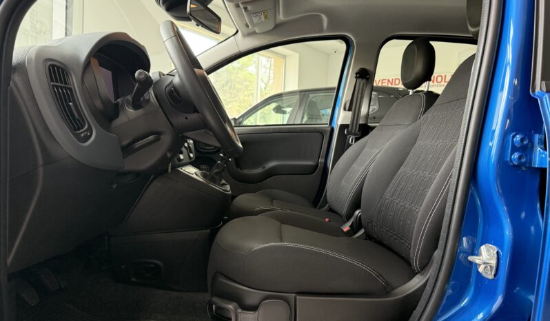 FIAT PANDA BENZINA/HYBRID ICON NUOVA pieno