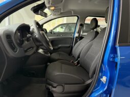 FIAT PANDA BENZINA/HYBRID ICON NUOVA pieno