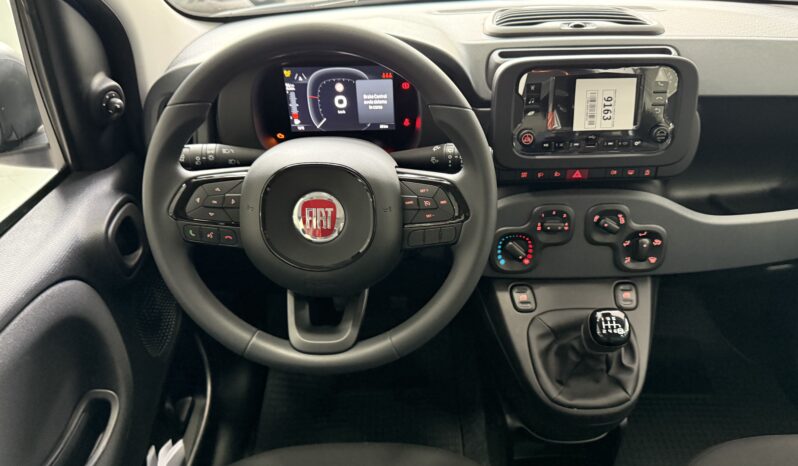 FIAT PANDA BENZINA/HYBRID ICON NUOVA pieno
