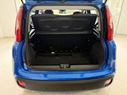 FIAT PANDA BENZINA/HYBRID ICON NUOVA pieno