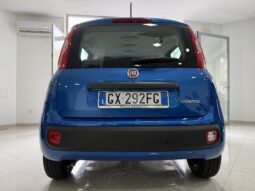 FIAT PANDA BENZINA/HYBRID ICON NUOVA pieno