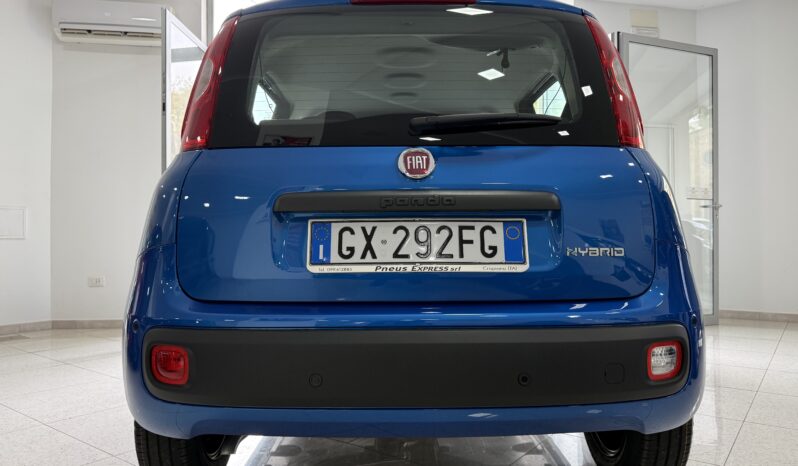 FIAT PANDA BENZINA/HYBRID ICON NUOVA pieno