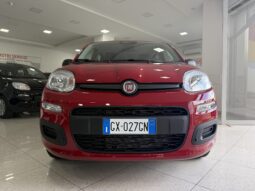 FIAT PANDA BENZINA/HYBRID ICON NUOVA pieno