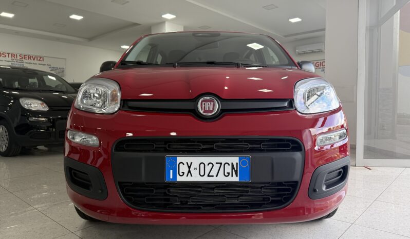 FIAT PANDA BENZINA/HYBRID ICON NUOVA pieno