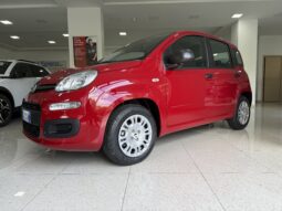 FIAT PANDA BENZINA/HYBRID ICON NUOVA pieno