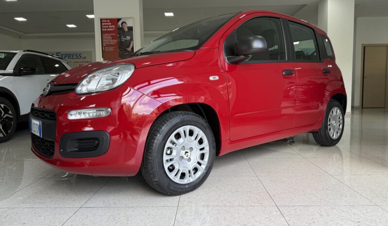 FIAT PANDA BENZINA/HYBRID ICON NUOVA pieno
