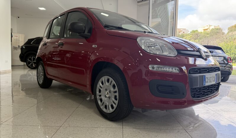 FIAT PANDA BENZINA/HYBRID ICON NUOVA pieno