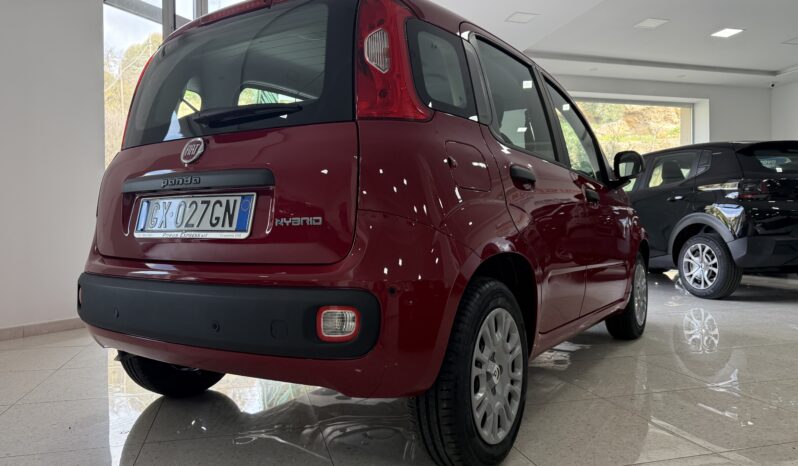 FIAT PANDA BENZINA/HYBRID ICON NUOVA pieno