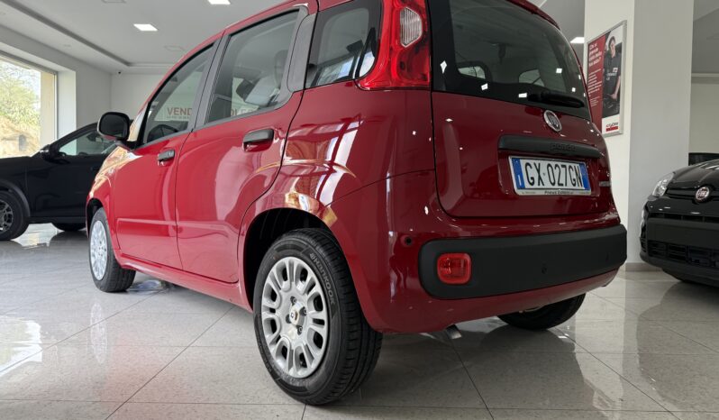 FIAT PANDA BENZINA/HYBRID ICON NUOVA pieno