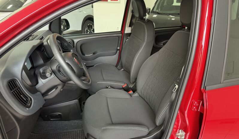 FIAT PANDA BENZINA/HYBRID ICON NUOVA pieno