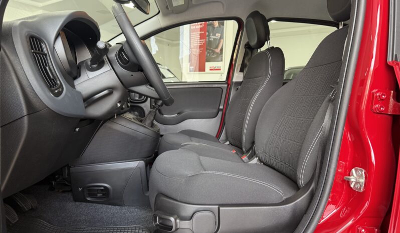 FIAT PANDA BENZINA/HYBRID ICON NUOVA pieno