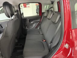 FIAT PANDA BENZINA/HYBRID ICON NUOVA pieno