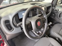 FIAT PANDA BENZINA/HYBRID ICON NUOVA pieno