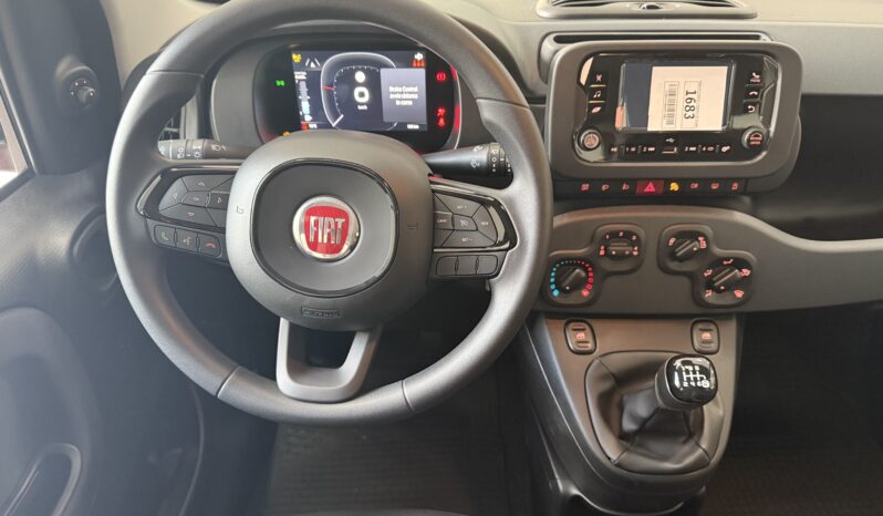 FIAT PANDA BENZINA/HYBRID ICON NUOVA pieno