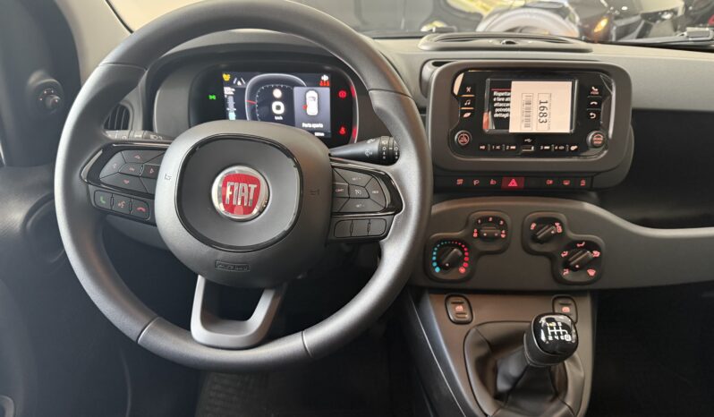FIAT PANDA BENZINA/HYBRID ICON NUOVA pieno