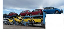 FIAT PANDA BENZINA/HYBRID ICON NUOVA pieno