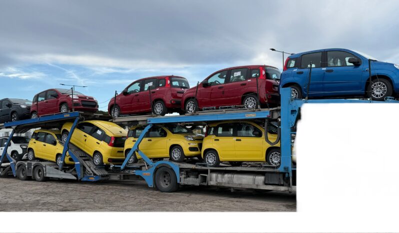 FIAT PANDA BENZINA/HYBRID ICON NUOVA pieno