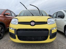 FIAT PANDA BENZINA/HYBRID ICON NUOVA pieno
