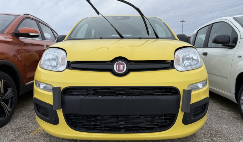 FIAT PANDA BENZINA/HYBRID ICON NUOVA pieno