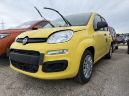 FIAT PANDA BENZINA/HYBRID ICON NUOVA pieno