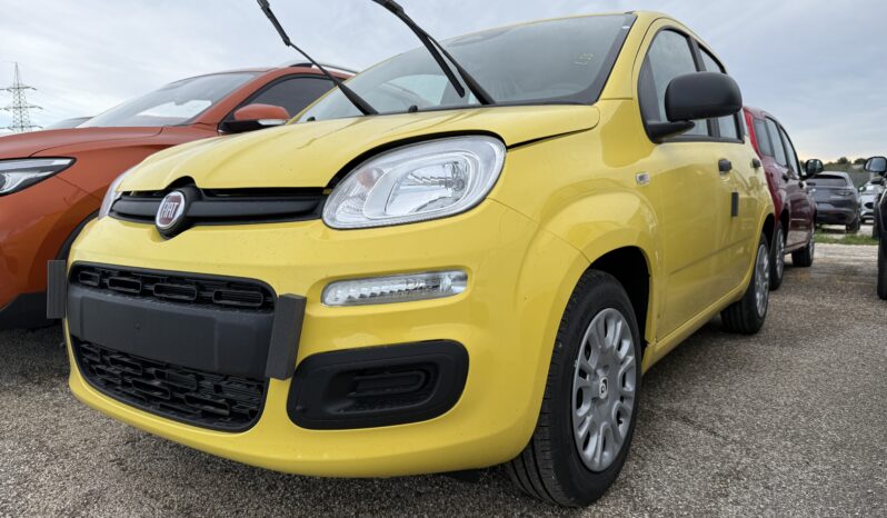 FIAT PANDA BENZINA/HYBRID ICON NUOVA pieno