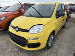 FIAT PANDA BENZINA/HYBRID ICON NUOVA pieno