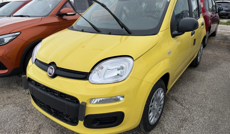FIAT PANDA BENZINA/HYBRID ICON NUOVA pieno