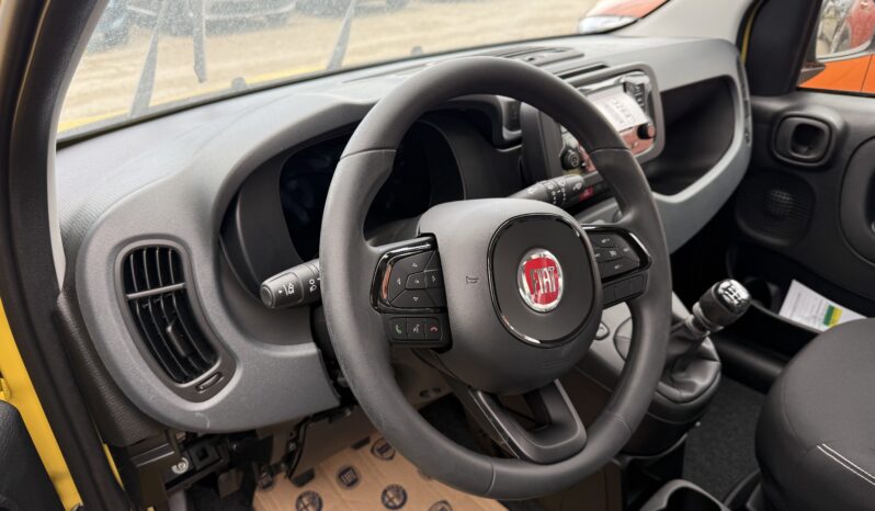 FIAT PANDA BENZINA/HYBRID ICON NUOVA pieno