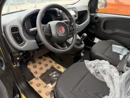 FIAT PANDA BENZINA/HYBRID ICON NUOVA pieno