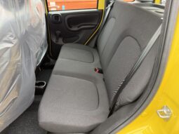FIAT PANDA BENZINA/HYBRID ICON NUOVA pieno