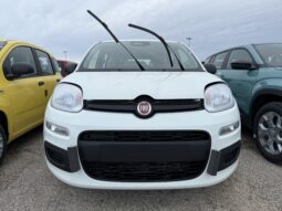 FIAT PANDA BENZINA/HYBRID ICON NUOVA pieno