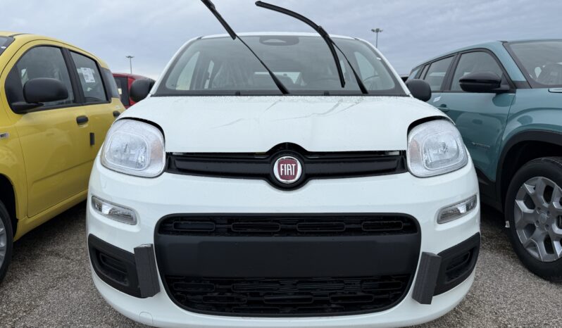 FIAT PANDA BENZINA/HYBRID ICON NUOVA pieno