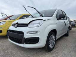 FIAT PANDA BENZINA/HYBRID ICON NUOVA pieno