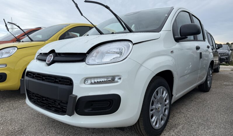 FIAT PANDA BENZINA/HYBRID ICON NUOVA pieno