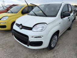 FIAT PANDA BENZINA/HYBRID ICON NUOVA pieno