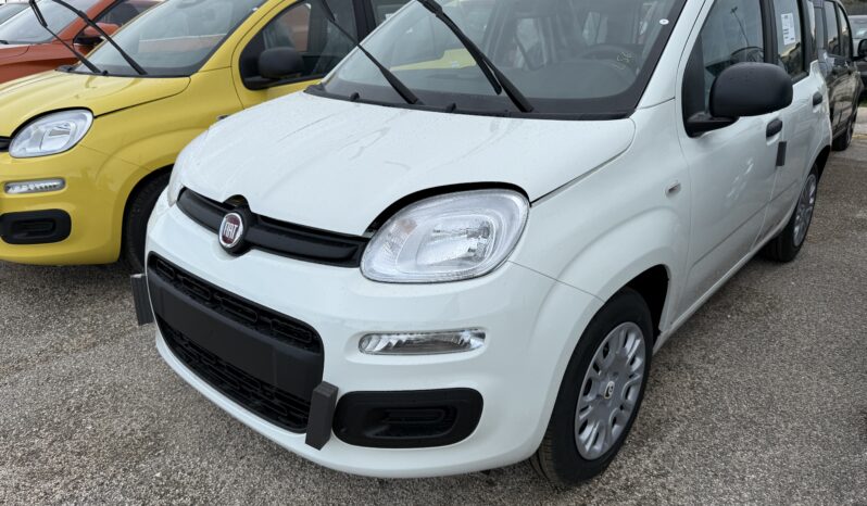 FIAT PANDA BENZINA/HYBRID ICON NUOVA pieno