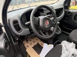 FIAT PANDA BENZINA/HYBRID ICON NUOVA pieno