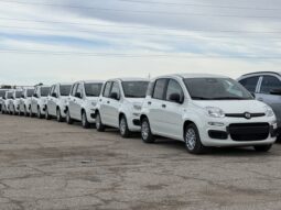 FIAT PANDA BENZINA/HYBRID ICON NUOVA pieno