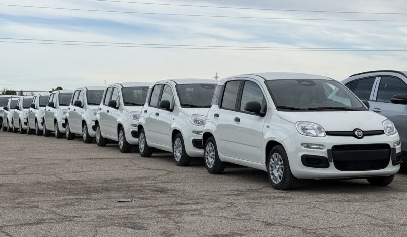 FIAT PANDA BENZINA/HYBRID ICON NUOVA pieno