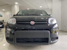 FIAT PANDA BENZINA/HYBRID ICON NUOVA pieno